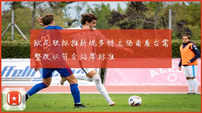 欧足联拟推新规多特主场南看台需整改以符合站席标准